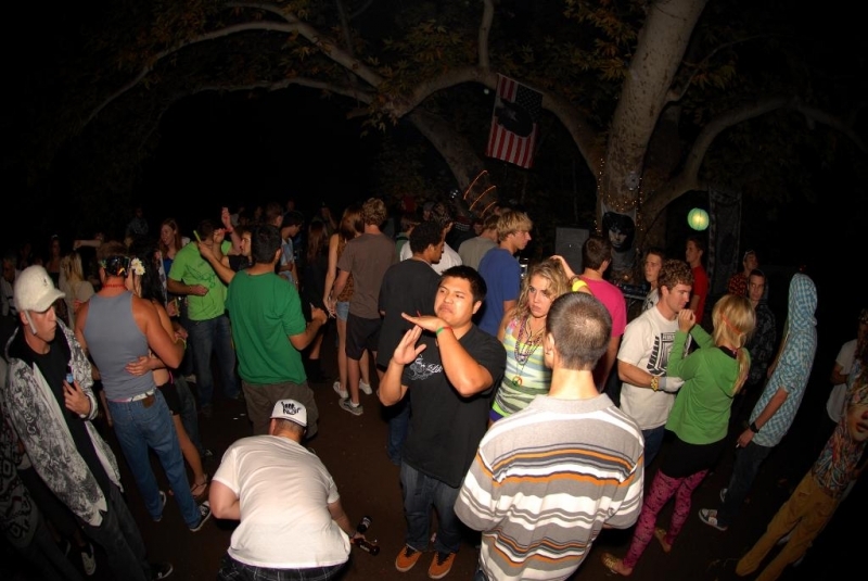 DSC 0089tu